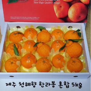 제주 달달한 천혜향 한라봉 혼합세트 5kg 2월~3월 과일